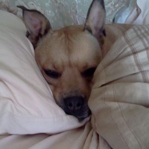 Meet your Posher, Christina